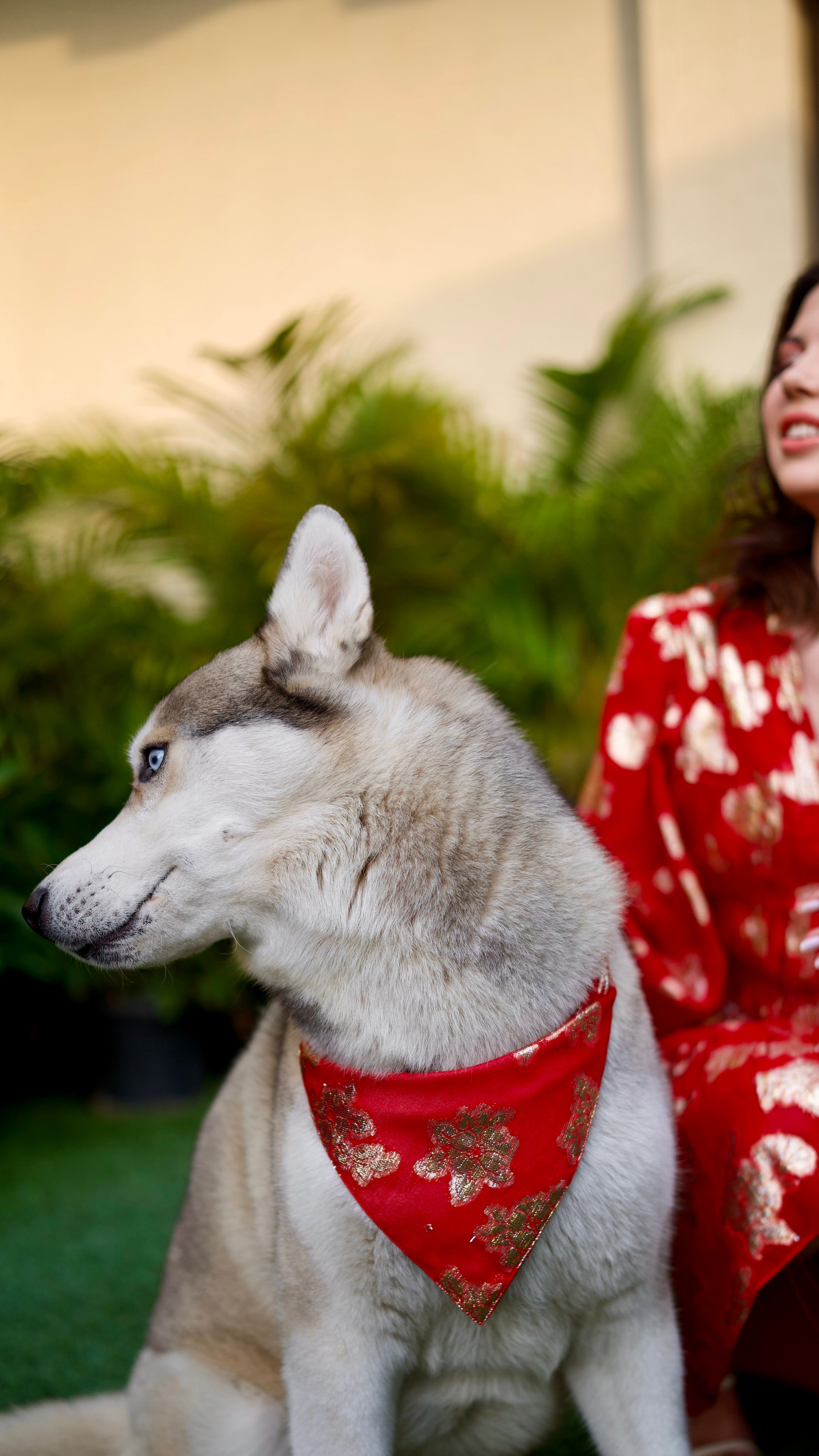 SHI BANDANA (Lurex edition)